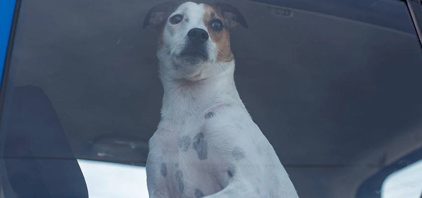 Car Lockout Solutions in Moraga, California